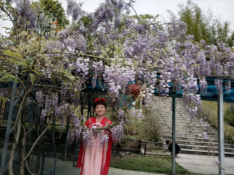 莉莉的第一张照片--上杭父母相亲团